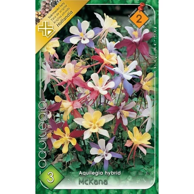 Aquilegia McKana hibrid - Harangláb (színkeverék)