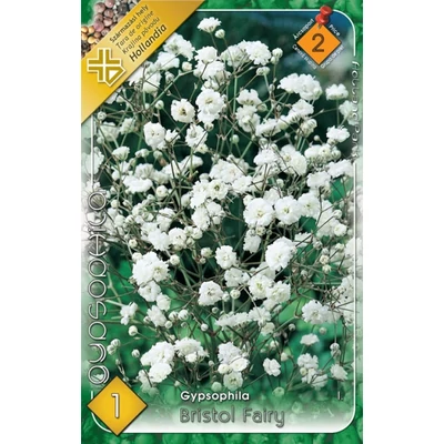 Gypsophila paniculata 'Bristol Fairy' - Teltvirágú fátyolvirág