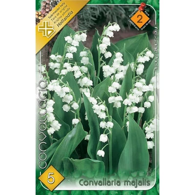 Convallaria majalis - Gyöngyvirág