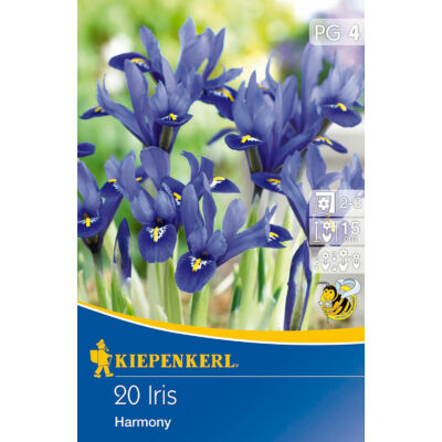 Iris reticulata (Harmony)