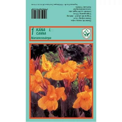 Canna - Kána (narancssárga)