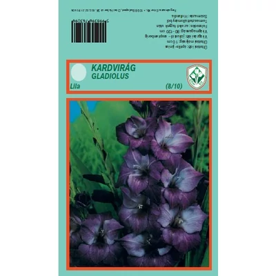 Kardvirág nagycsomag - Gladiolus Lila