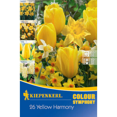 Színharmónia összeállítás 'Yellow Harmony'(nárcisz-jácint-tulipán-krókusz, sárga)