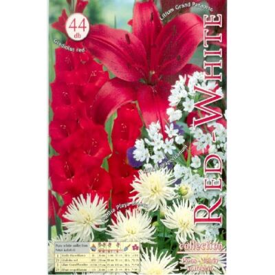Piros-fehér (piros és fehér virághagyma kollekció)