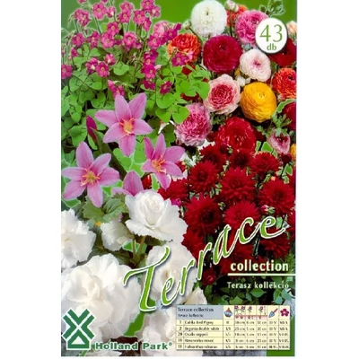 Terasz (balkonra ültethető virághagyma kollekció)