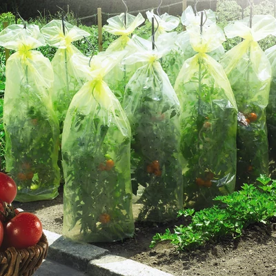 Perforált takarófólia 50 µm LDPE - TOMATOTUBE (sárga)