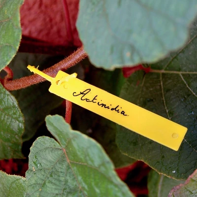 Függő címke - TREE LABEL (sárga)