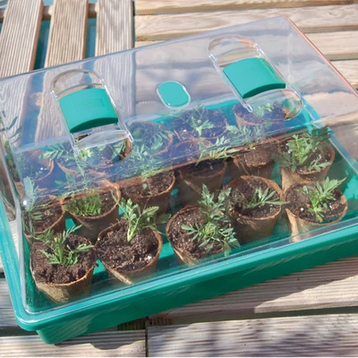 Mini üvegház szellőzővel - RAPID GROW