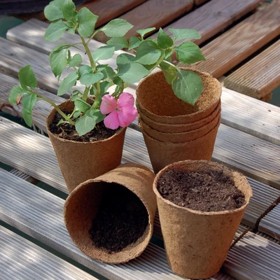 Tőzegcserép - GROWING POTS (világosbarna)