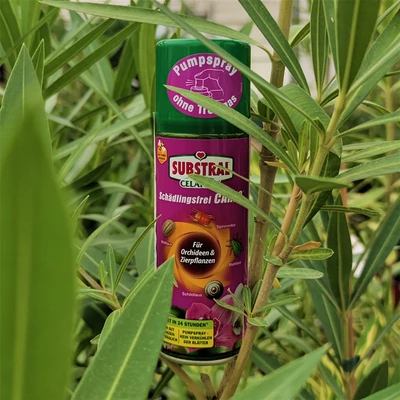 Substral CAREO spray Orchidea, rovarölő permetezőszer felhasználásra kész flakonban