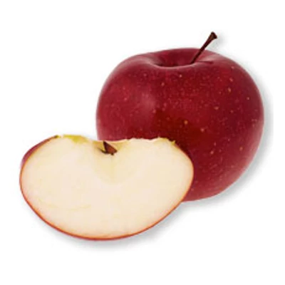 'Red Rome Van Well' almafa