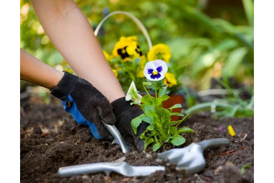 CSOKOS házépítők szevasztok! 