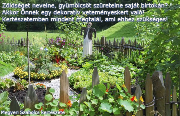 veteményeskert Megyeri Szabolcs kertészete